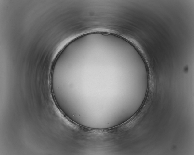 X0000115690910200912031439