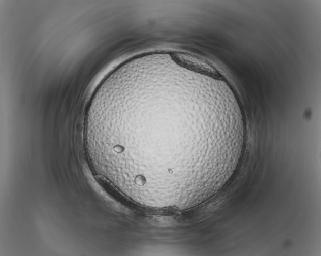 X0000115690911200912031439