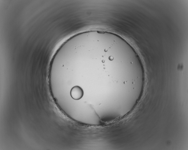 X0000115690912200912031439