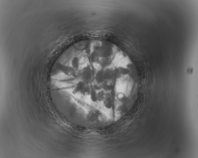 X0000115690913200912031439