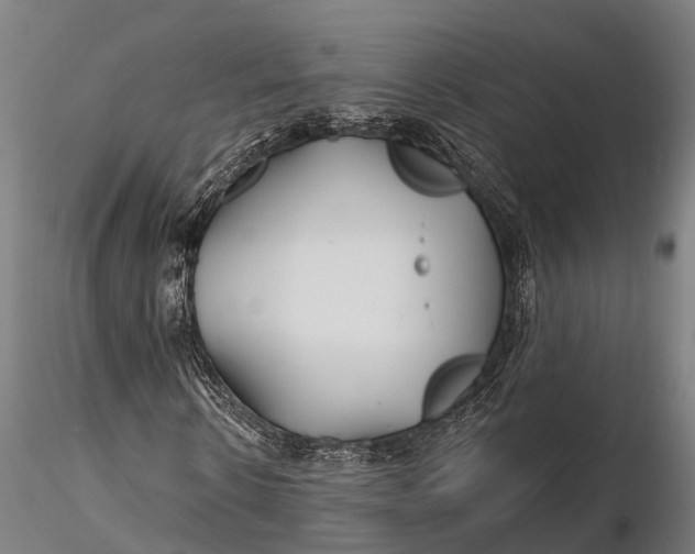 X0000115690914200912031439