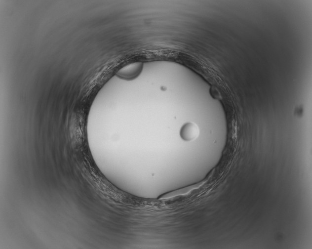 X0000115690915200912031439