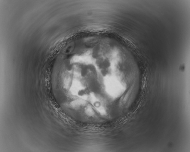 X0000115690917200912031439