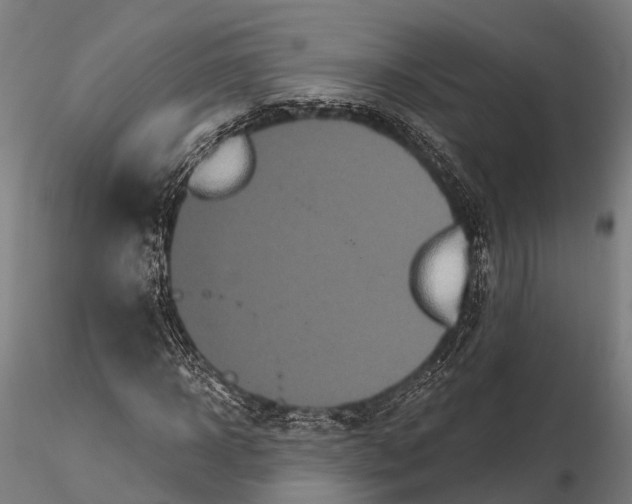 X0000115690918200912031439