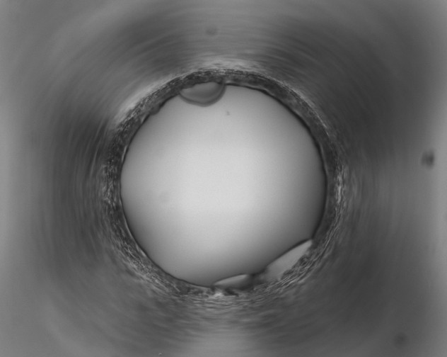 X0000115690919200912031439