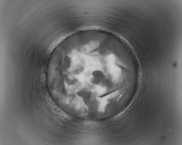 X0000115690921200912031439