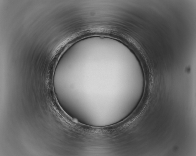 X0000115690922200912031439