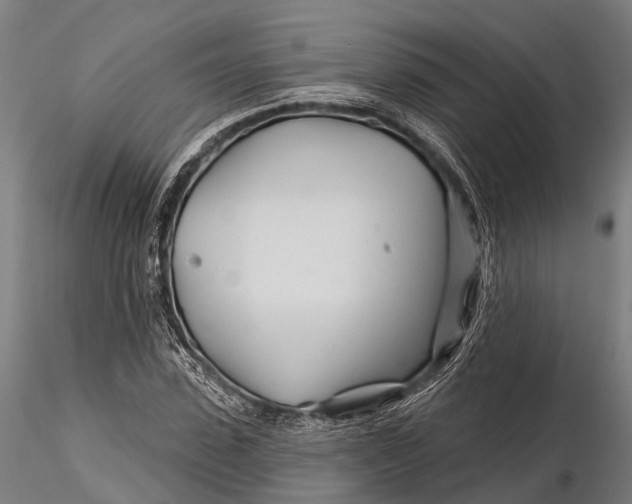 X0000115690923200912031439