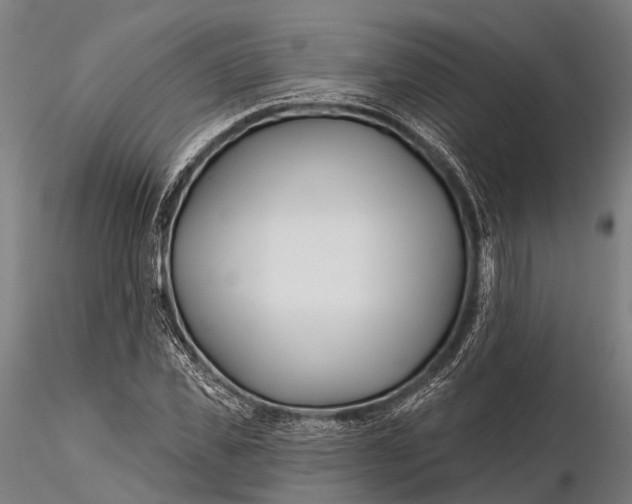 X0000115690925200912031439