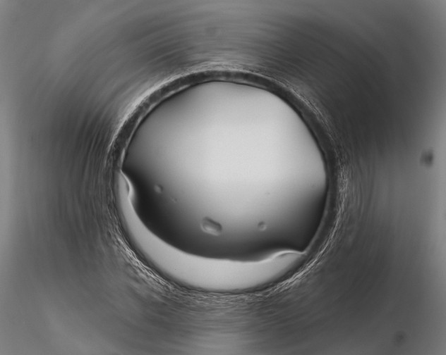 X0000115690926200912031439