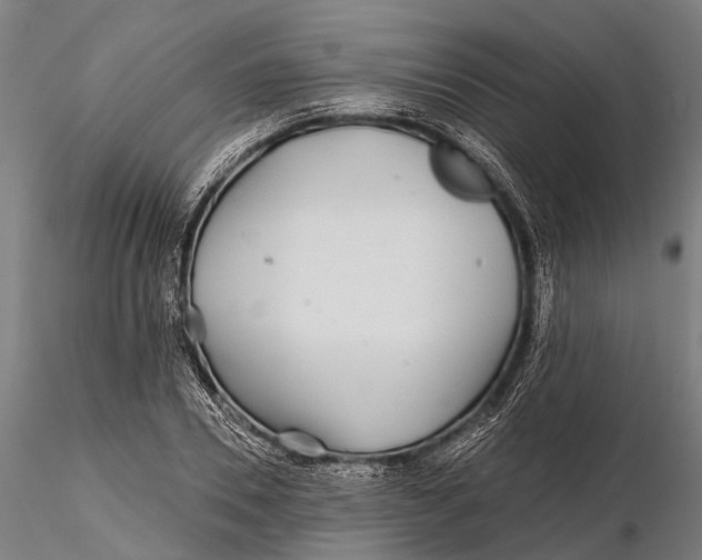 X0000115690930200912031439