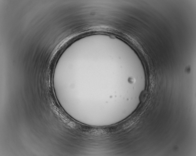 X0000115690931200912031439