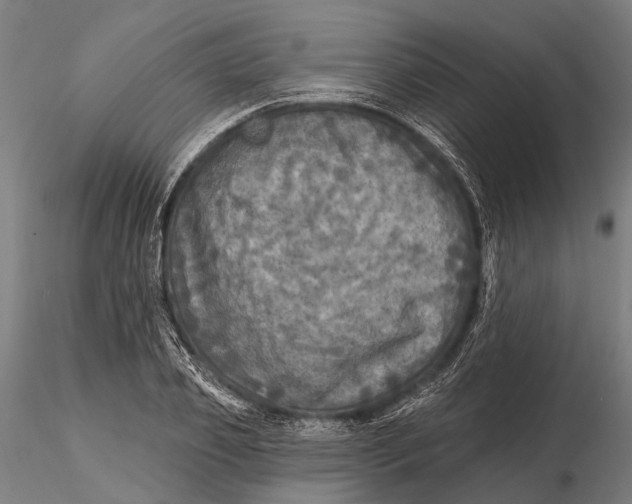 X0000115690933200912031439