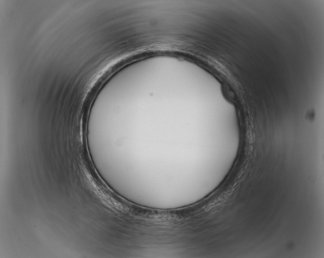 X0000115690934200912031439