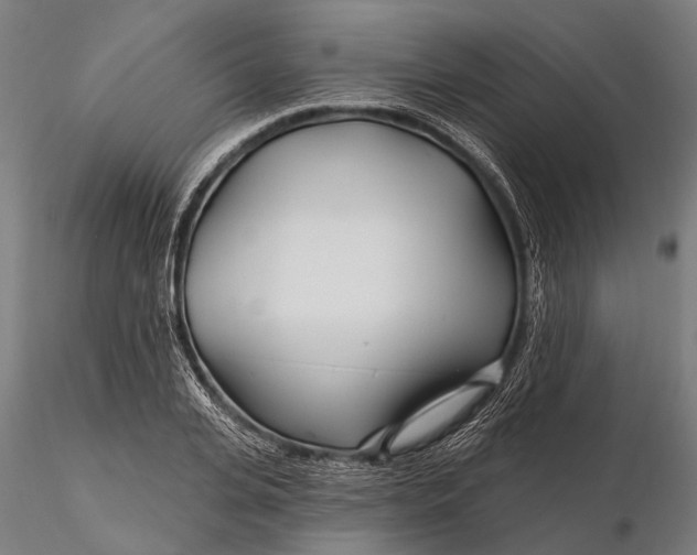 X0000115690935200912031439