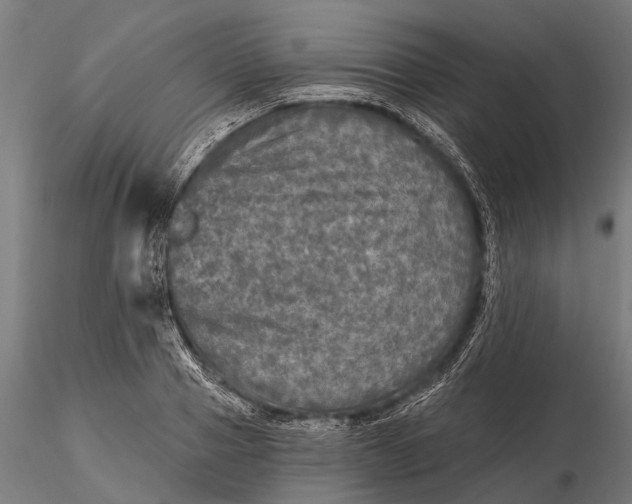 X0000115690937200912031439