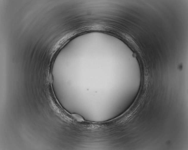 X0000115690938200912031439