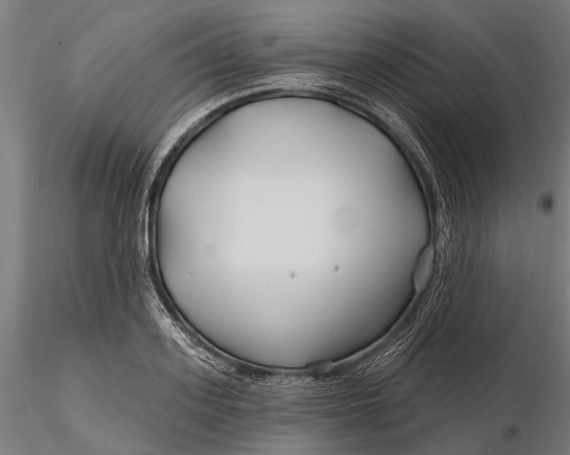 X0000115690939200912031439