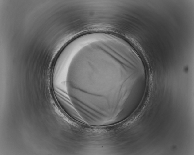 X0000115690941200912031439