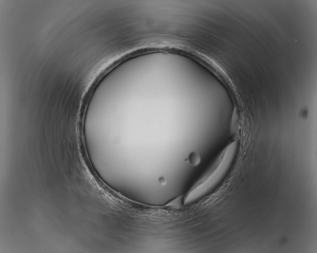 X0000115690943200912031439