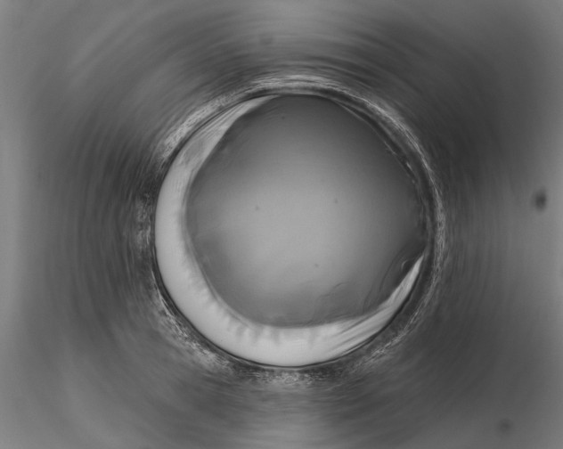 X0000115690945200912031439