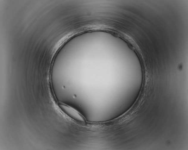 X0000115690946200912031439