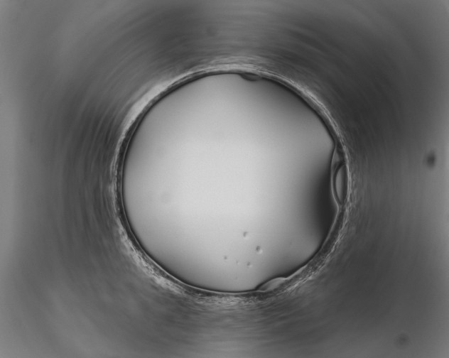 X0000115690949200912031439