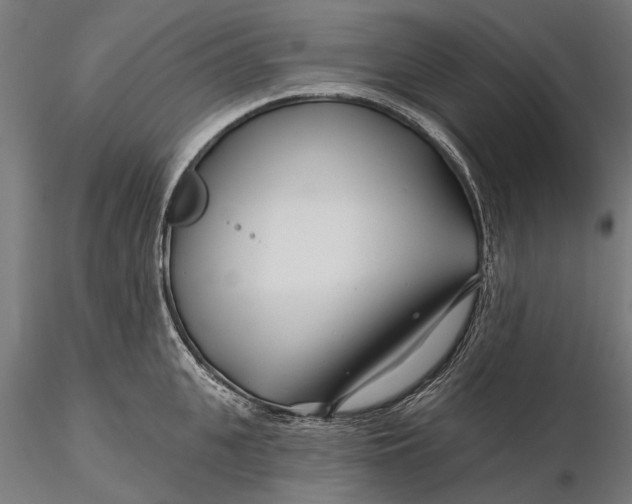 X0000115690951200912031439