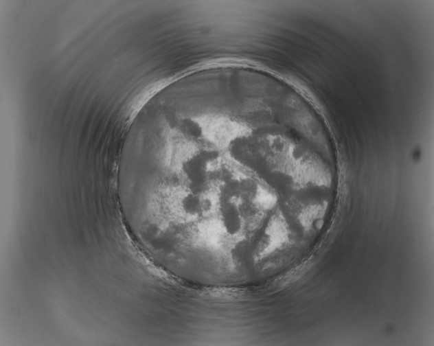 X0000115690953200912031439