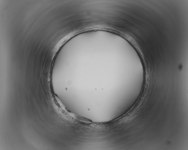 X0000115690954200912031439