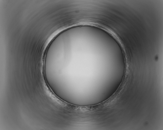 X0000115690955200912031439