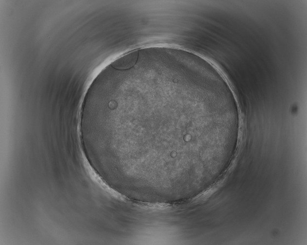 X0000115690957200912031439