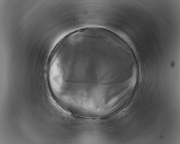 X0000115690958200912031439