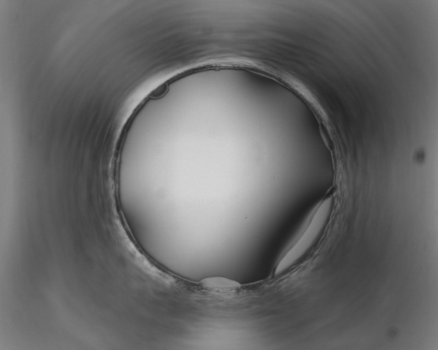 X0000115690959200912031439