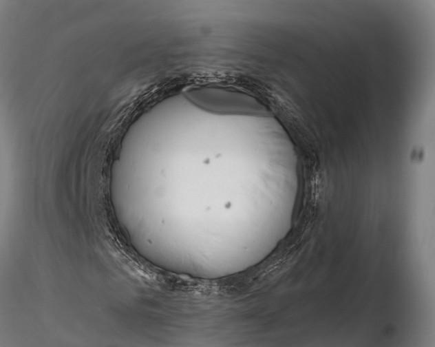 X0000115690961200912031439