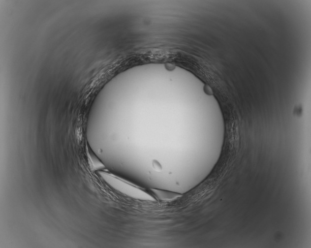 X0000115690962200912031439