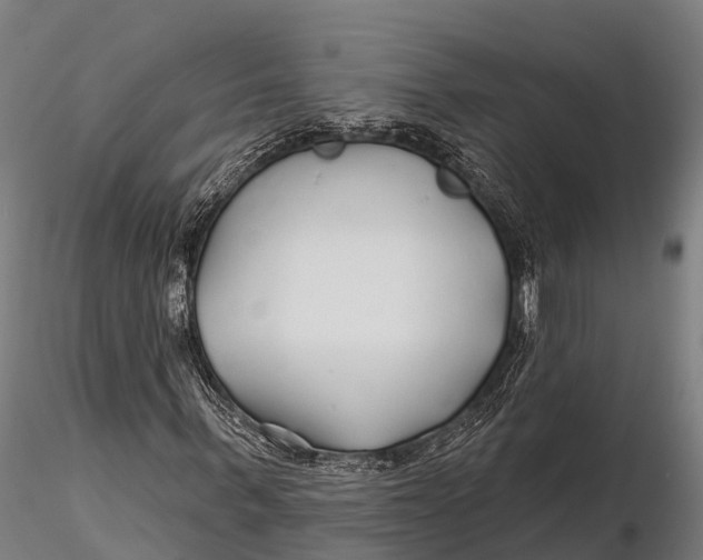 X0000115690963200912031439