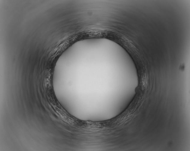 X0000115690964200912031439