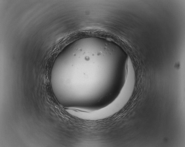 X0000115690965200912031439