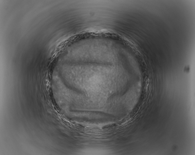 X0000115690966200912031439