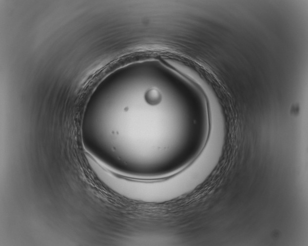 X0000115690967200912031439