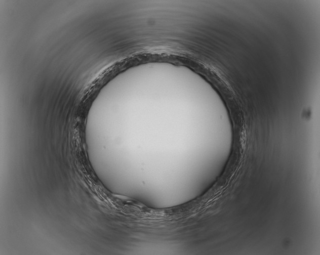 X0000115690968200912031438