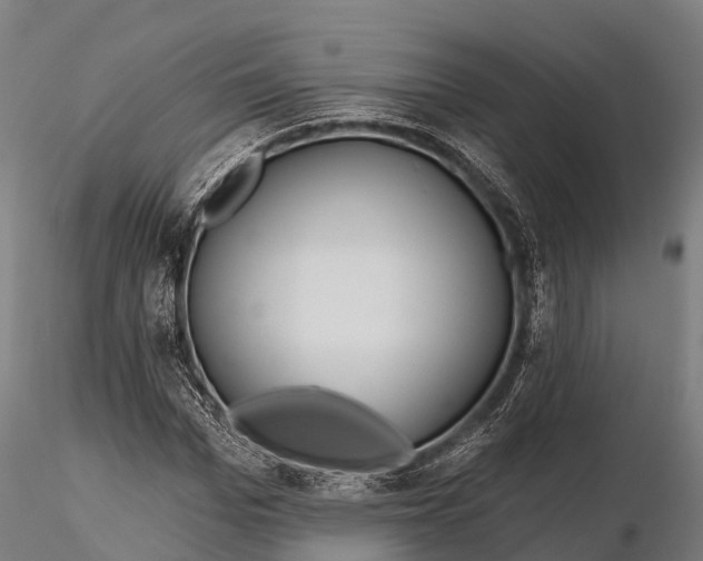 X0000115690969200912031438