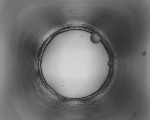 X0000115690970200912031438