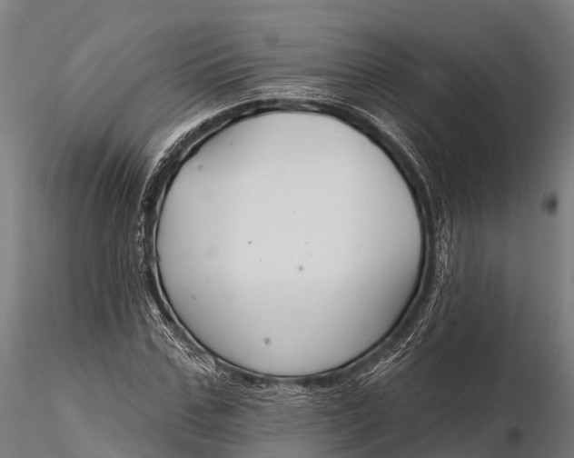 X0000115690971200912031438