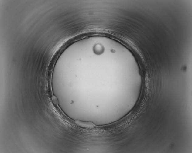 X0000115690972200912031438