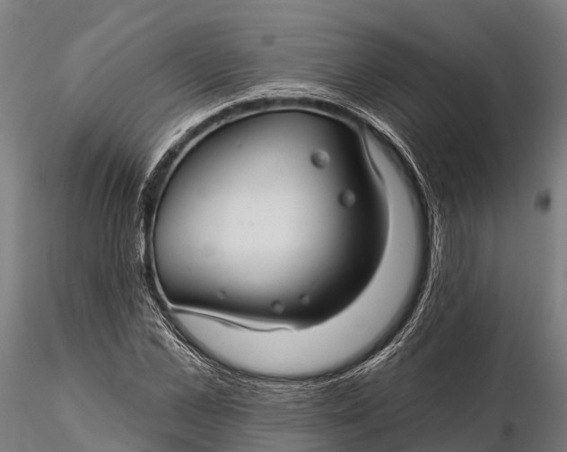 X0000115690973200912031438