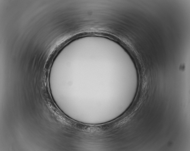 X0000115690974200912031438