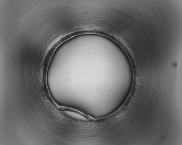 X0000115690975200912031438