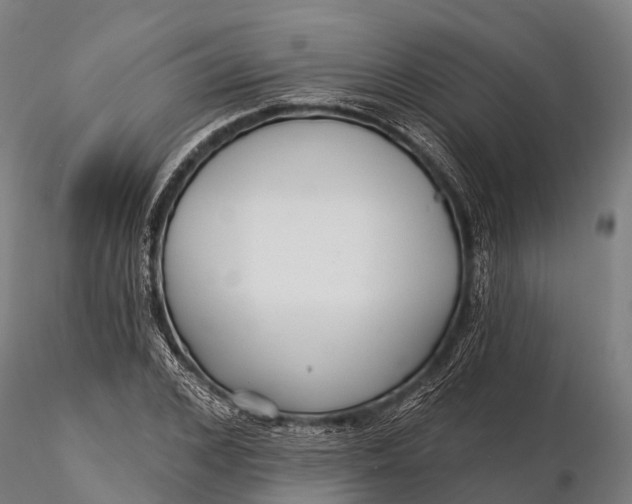 X0000115690976200912031438